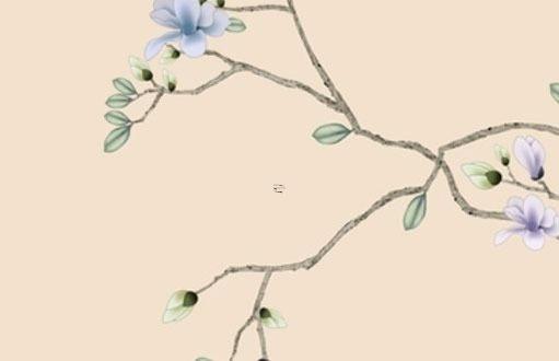 屬虎人龍年運(yùn)勢(shì)2024 2024年屬虎的運(yùn)勢(shì)