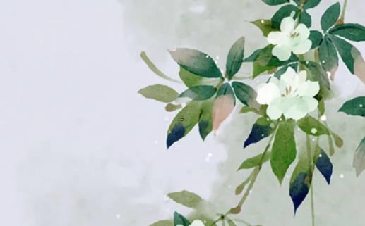 屬兔的和屬龍的婚姻怎么樣 屬兔和屬龍婚姻如何