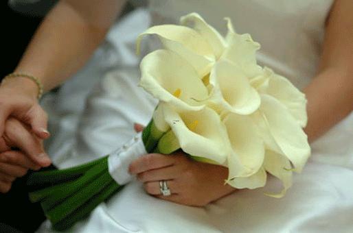 沒有野心的星座