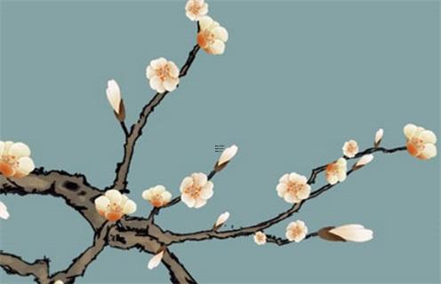 過(guò)農(nóng)歷生日還是陽(yáng)歷好,過(guò)農(nóng)歷的生日好還是過(guò)陽(yáng)歷的生日好
