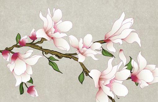 發(fā)財(cái)樹(shù)養(yǎng)護(hù)方法 發(fā)財(cái)樹(shù)的栽培方法