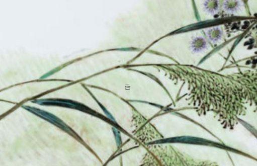 廣東招財(cái)貓會(huì)計(jì)事務(wù)有限公司 廣東招財(cái)貓會(huì)計(jì)事務(wù)有限公司開(kāi)平分公司