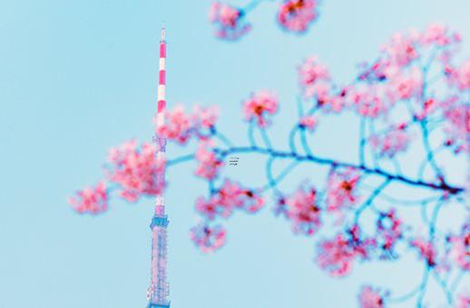 八字中七殺是好不好 八字里七殺是什么意思 八字中七殺是好不好 八字里七殺是什么意思