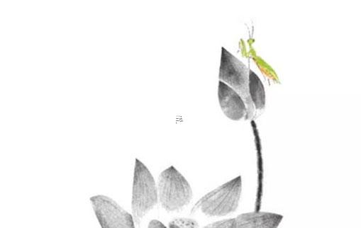 生肖屬虎的和什么相配 生肖屬虎的和什么生肖相配