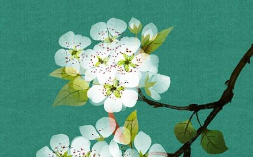 八字滾浪桃花是什么意思啊 命帶滾浪桃花