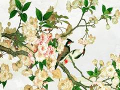 2002年屬馬人在2024年的運勢 2002年屬馬人2024的全年運勢