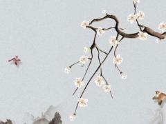 周公算命生男有刑克啥意思 什么叫生男有刑