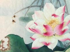 屬豬的穿什么衣服最旺,屬豬人穿什么衣服旺