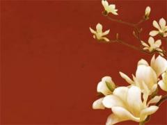 名字筆畫一樣有緣嗎 名字筆畫一樣怎么排序