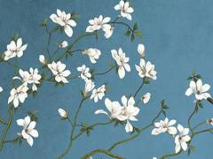 屬龍屬蛇婚配桃花劫,屬龍配屬蛇的會幸福