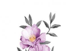 屬鼠與屬兔合作如何,屬鼠和屬兔的合作注意什么