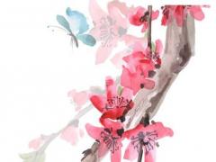 算命犯三娘殺是什么意思 什么是三娘煞