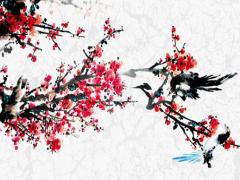 通周易禮記的通是什么意思 周易通靈經(jīng)