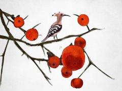 76年出生2024年運(yùn)勢如何 1976年2024年運(yùn)勢