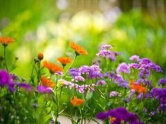 夢見和老公生氣是什么預兆