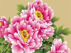 男八字和女八字算命區別大嗎 八字男命女命看法區別