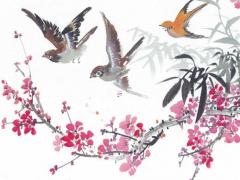 風水養烏龜放在什么方位最好 養烏龜放在什么地方最旺財