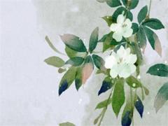 命運(yùn)有多慘是什么意思 命運(yùn)有多殘酷