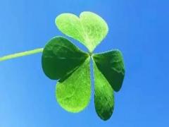 夢見親人住醫院是什么意思