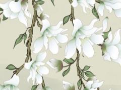 屬狗2024年運程 屬狗的人2024年的運勢及運程