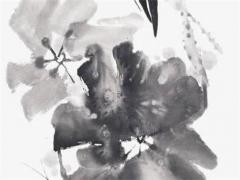 1999年屬鼠和兔婚姻,1999年屬兔和1996屬鼠年相配嗎