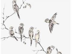 透著清冷氣質(zhì)的快手名很是矜貴