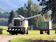 夢見生了個(gè)女孩五官很精致