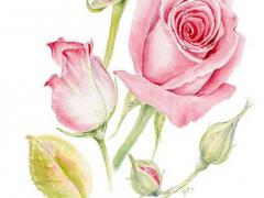 算命說斷頭婚是什么意思 算命先生說斷頭婚是什么意思啊