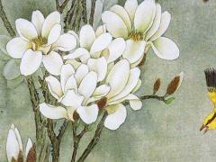 怎么看八字五行缺什么啊女生 如何看八字缺五行