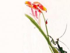 屬豬女不能和什么屬相最配,屬豬女最不合的屬相