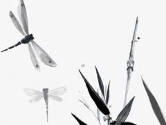 屬豬金牛座和屬狗水瓶座配嗎,金牛和水豬結(jié)婚好嗎