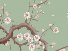 命運注定你要離婚了 命運注定