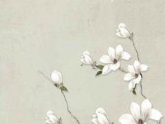 八字測的財位在哪里 八字測財運方位