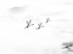 八字月柱福星華蓋是什么意思 月柱帶福星