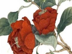 八字中水是什么意思 生辰八字水代表什么意思