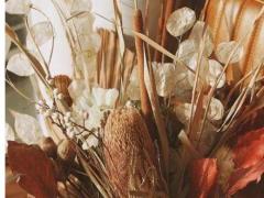 哪些人處女座最不該傷害?