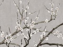 易經(jīng)中9天6地是什么意思 易經(jīng)九天是什么意思