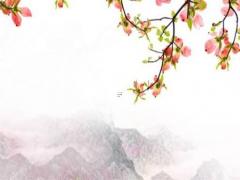中分八字劉海發(fā)型男 韓國(guó)中分發(fā)型男