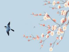 屬雞運(yùn)勢2024年運(yùn)程每月運(yùn)程 屬雞2024年運(yùn)勢完整版