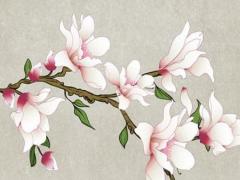 紫薇命盤怎么看,紫薇命盤詳解,免費版