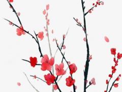 生辰八字主要是什么意思 生辰八字是什么意思怎樣計算生辰八字