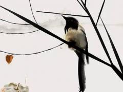 如何走進(jìn)男人的心里 如何走進(jìn)一個(gè)男人的心里