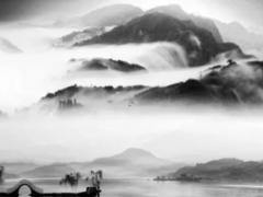 19862024年屬虎運勢 19862021屬虎人全年運勢