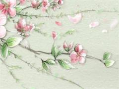 屬相婚配有科學價值嗎 屬相婚配有用嗎