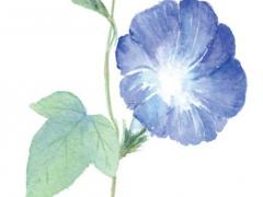 易經(jīng)中的比和應(yīng)指什么意思 周易比和應(yīng)