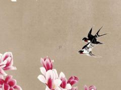 96年屬鼠和88年龍配嗎,96年的鼠和88年的龍合適嗎