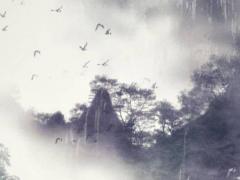 薛之謙八字看復合 薛之謙求復合