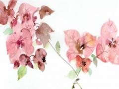 八七年屬兔找對象方向,八七年屬兔男的性格怎么樣