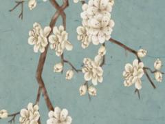 怎樣的星盤算是好星盤 星盤好壞怎么分析