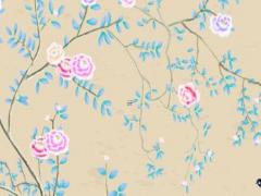 白羊座那個年齡女生最漂亮 白羊座女幾歲最漂亮